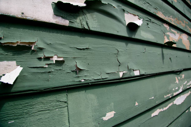 Best Insulated Siding Installation  in Monticello, UT