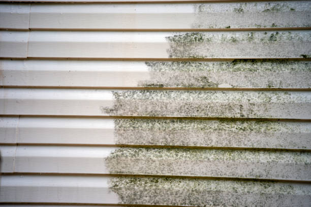Best Composite Siding  in Monticello, UT